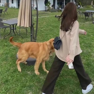 时装